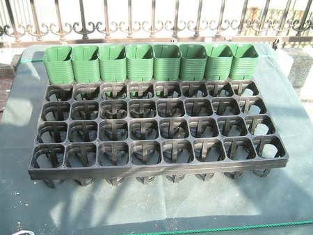 ＥＧポットセット