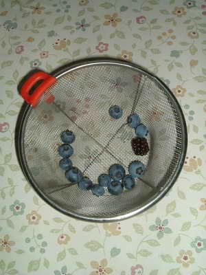 ブルーベリー初収穫