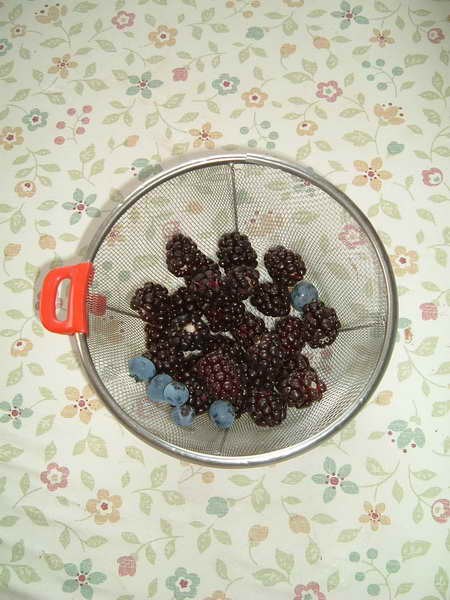 スパルタン初収穫