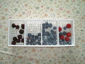 収穫用コンテナ