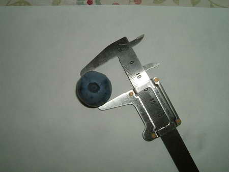 サミット今年の最大果