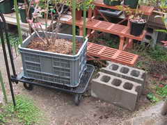 オニールのコンテナを移動１