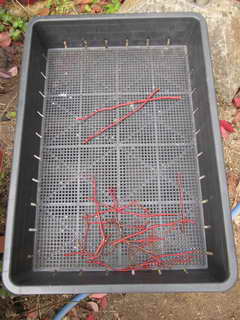 スパルタン、剪定枝