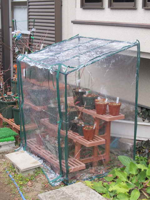 ブルーベリー用ビニール温室