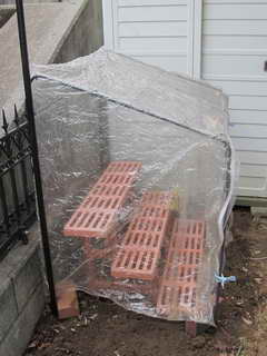 ブルーベリー用ビニール温室