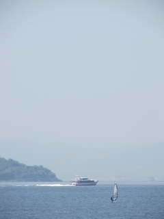 ウィンドサーフィンをする人